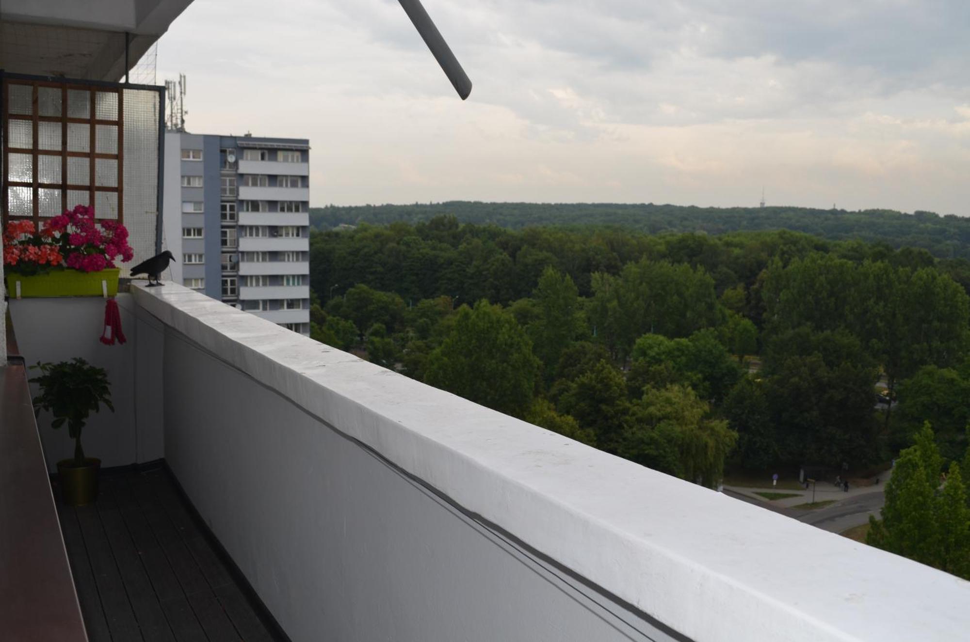 Apartment Silesia Park - Free Parking - Easy Check-In Katovice Exteriér fotografie